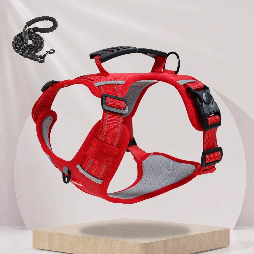 Dog Vest Harness and Leash for Everyday Walks