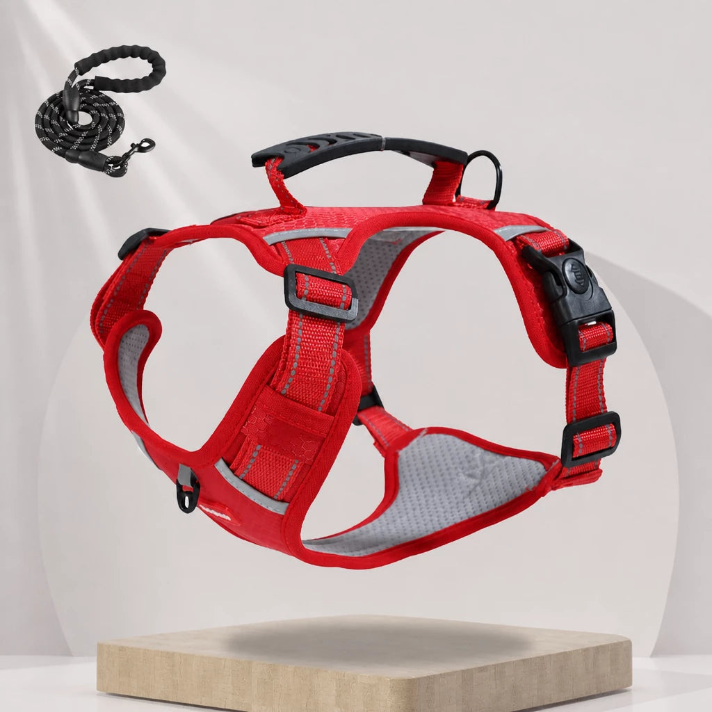 Dog Vest Harness and Leash for Everyday Walks