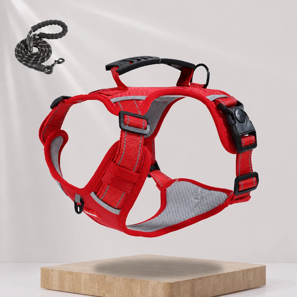 Dog Vest Harness and Leash for Everyday Walks