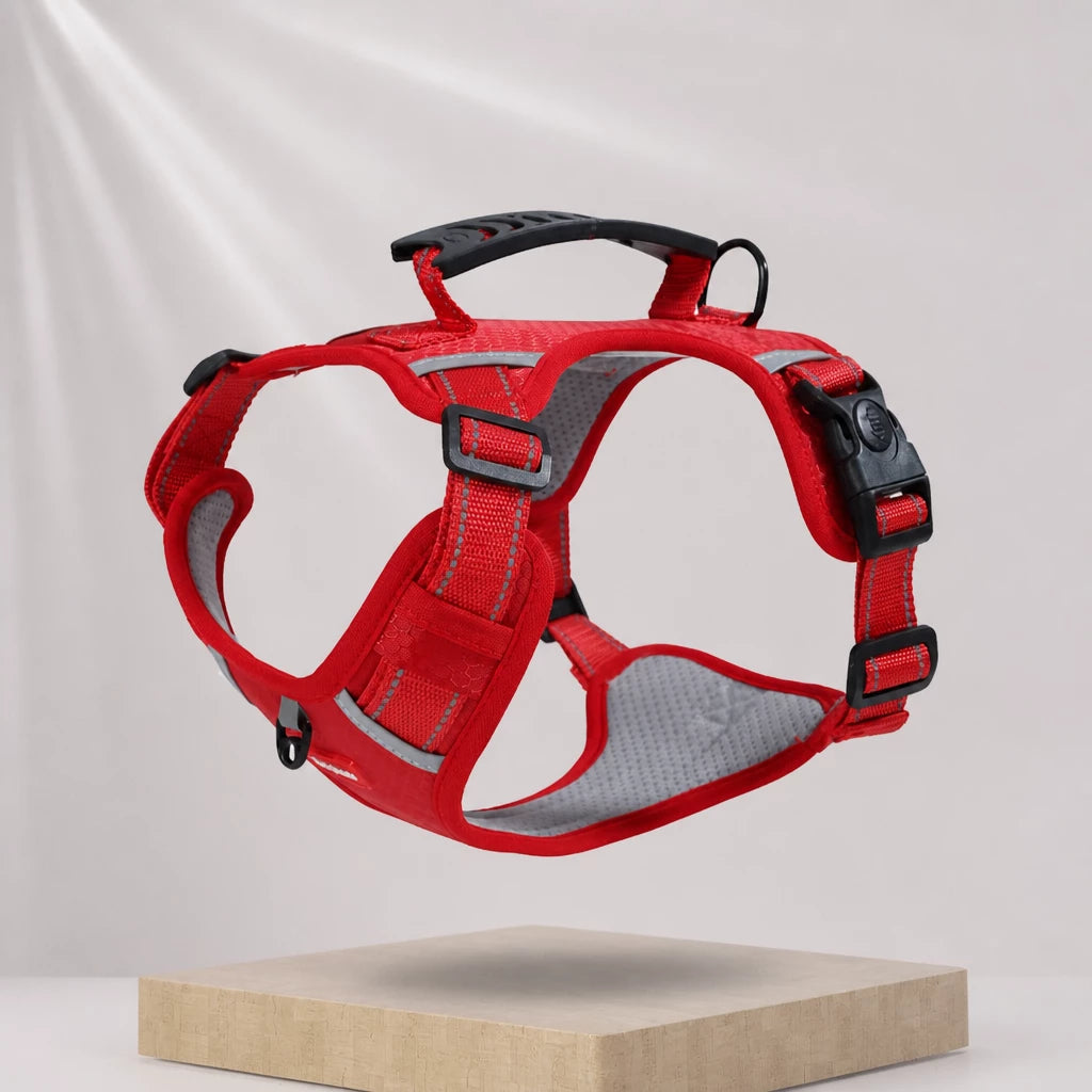Dog Vest Harness and Leash for Everyday Walks