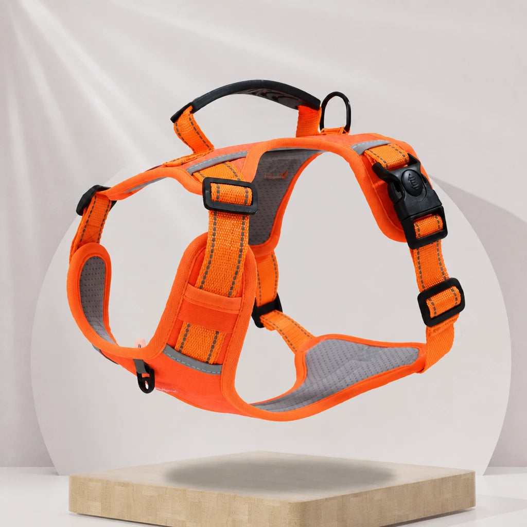 Dog Vest Harness and Leash for Everyday Walks