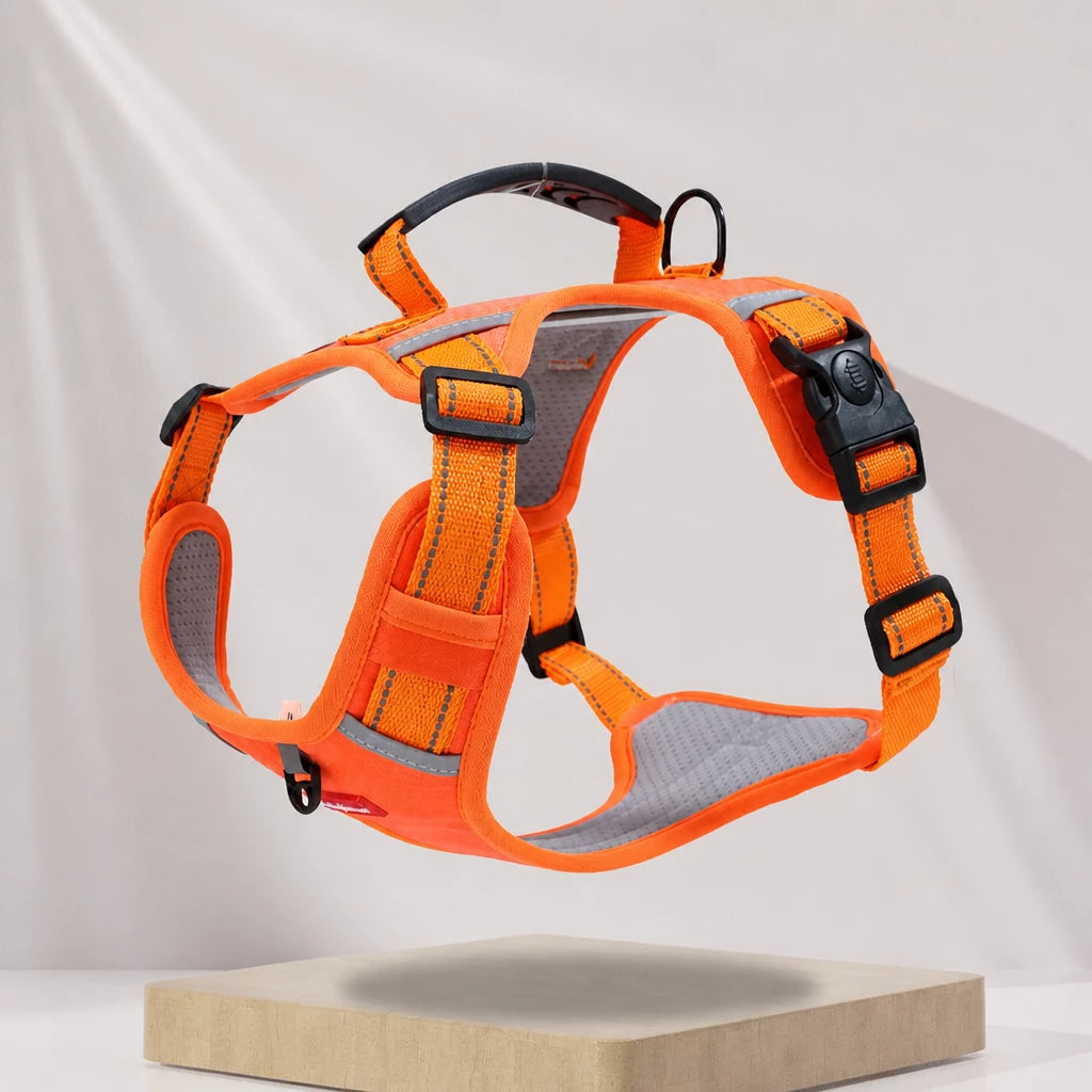 Dog Vest Harness and Leash for Everyday Walks