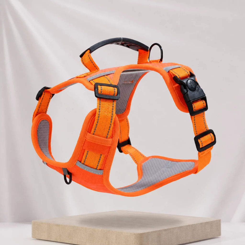 Dog Vest Harness and Leash for Everyday Walks