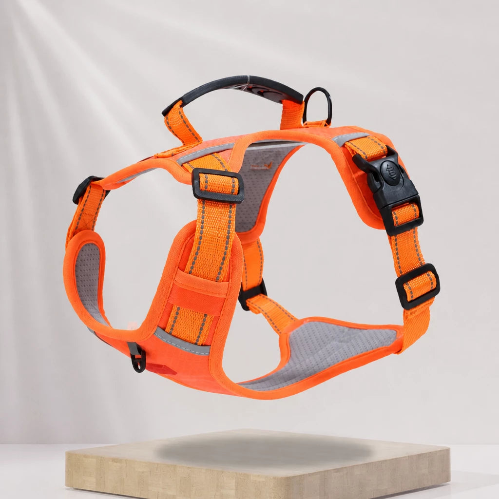 Dog Vest Harness and Leash for Everyday Walks
