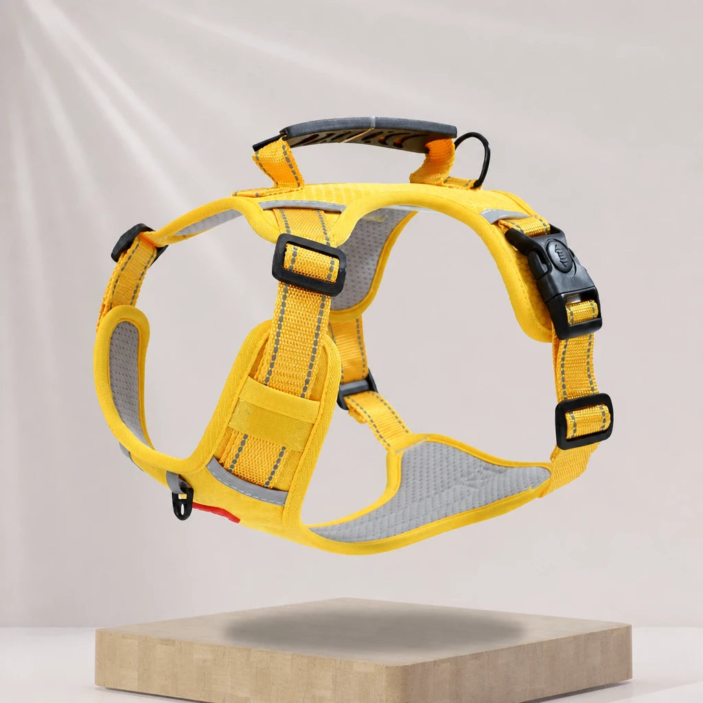 Dog Vest Harness and Leash for Everyday Walks