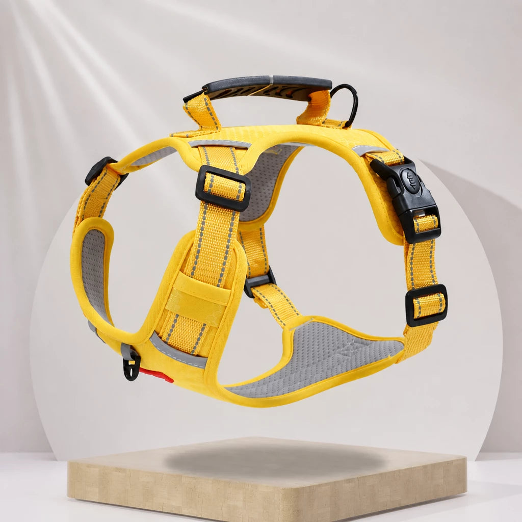 Dog Vest Harness and Leash for Everyday Walks