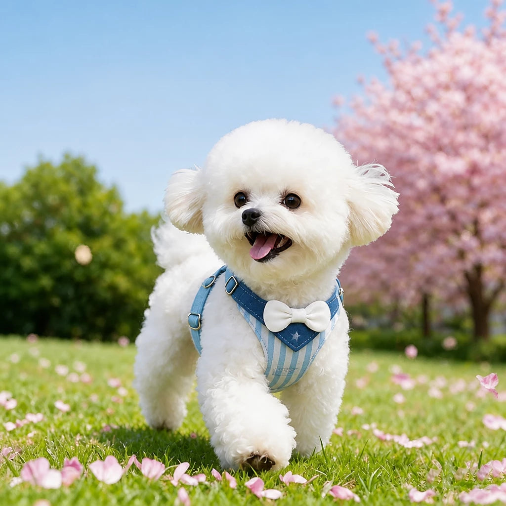Nylon Harness for Small Dogs