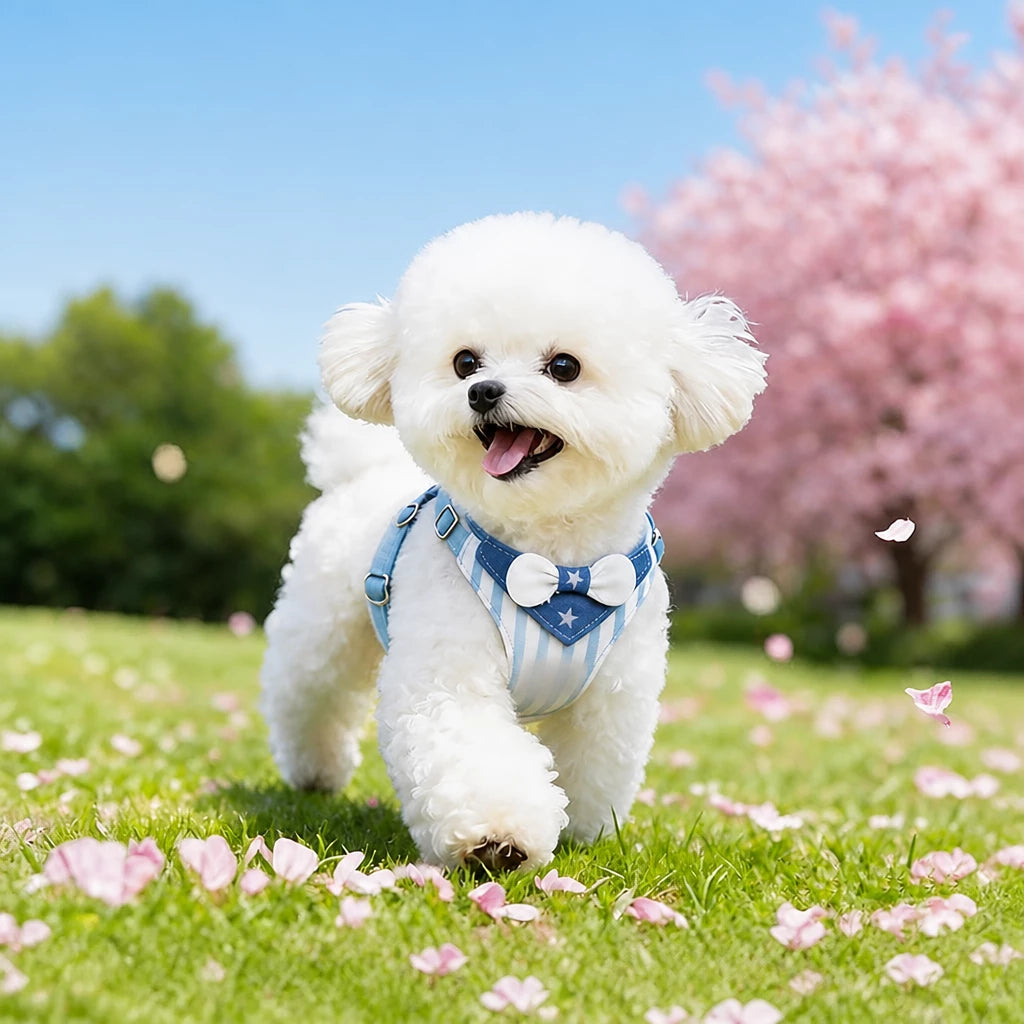 Nylon Harness for Small Dogs