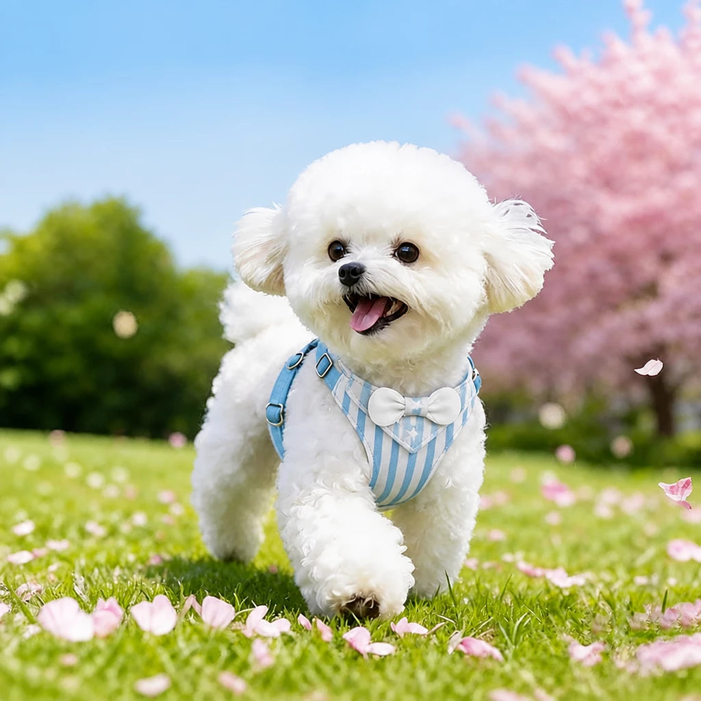 Nylon Harness for Small Dogs