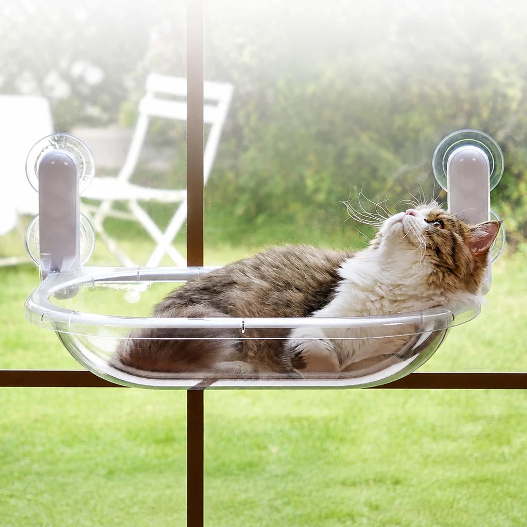 Foldable Transparent Cat Window Capsule Hammock
