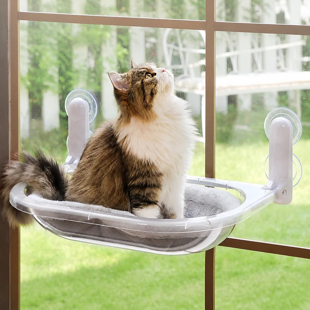 Foldable Transparent Cat Window Capsule Hammock