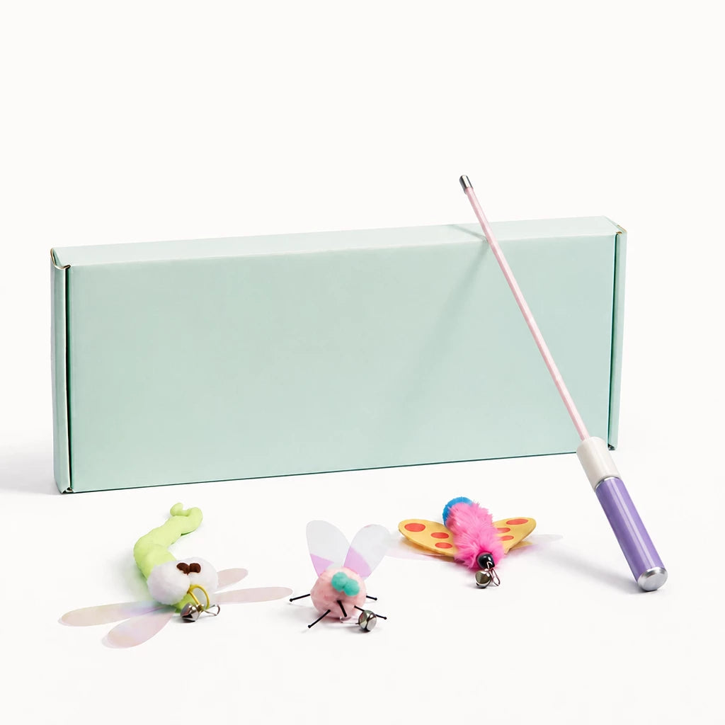Retractable Cat Teaser Wand with Replaceable Attachments