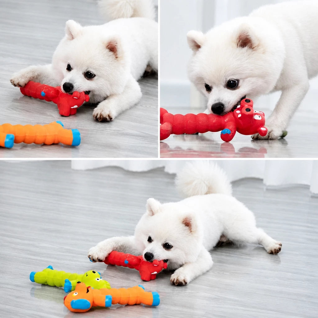 Latex Squeaky Dog Toy for Small and Medium Dogs