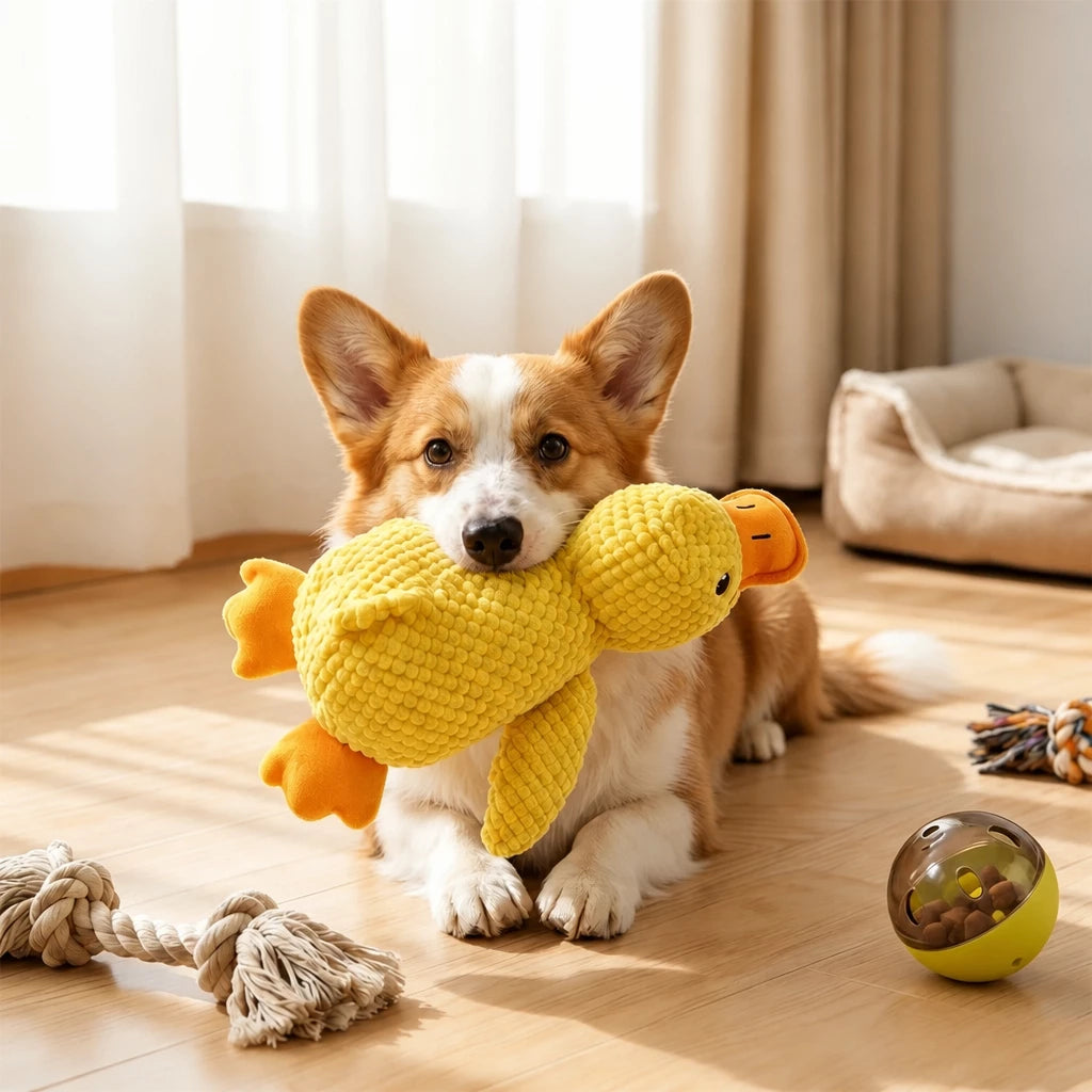 Squeaky Chew Toy for Small and Medium Dogs