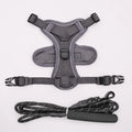 Cat Harness and Leash