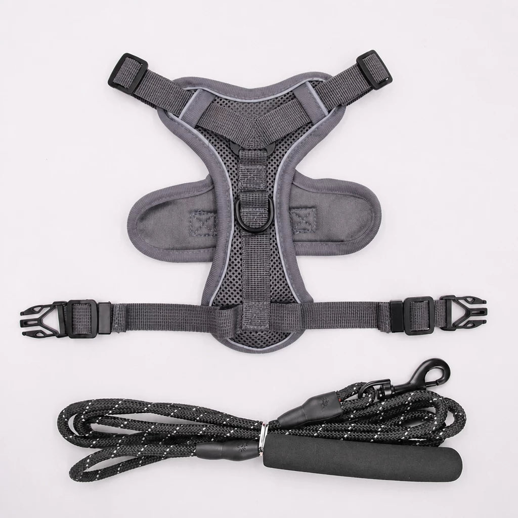 Cat Harness and Leash