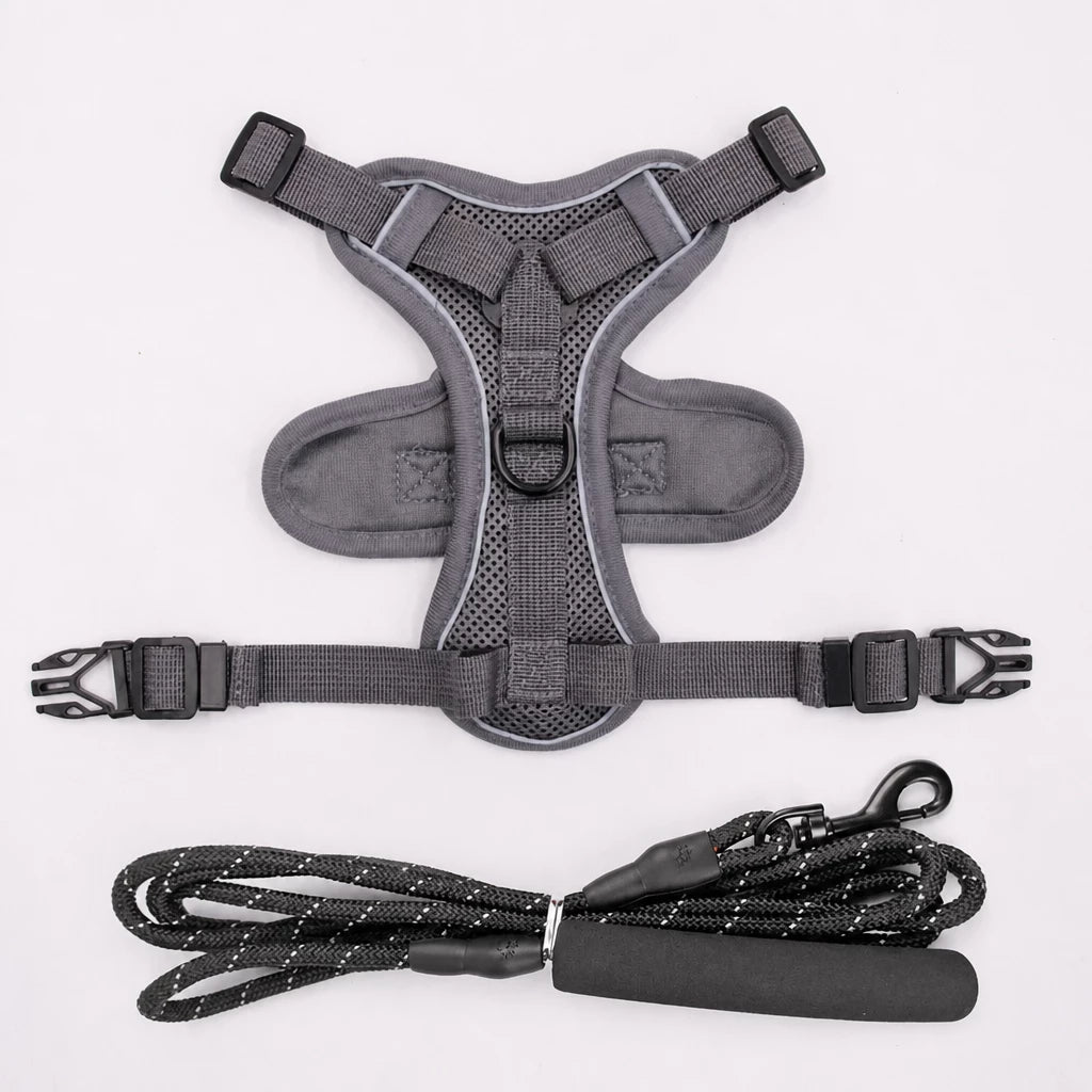 Cat Harness and Leash