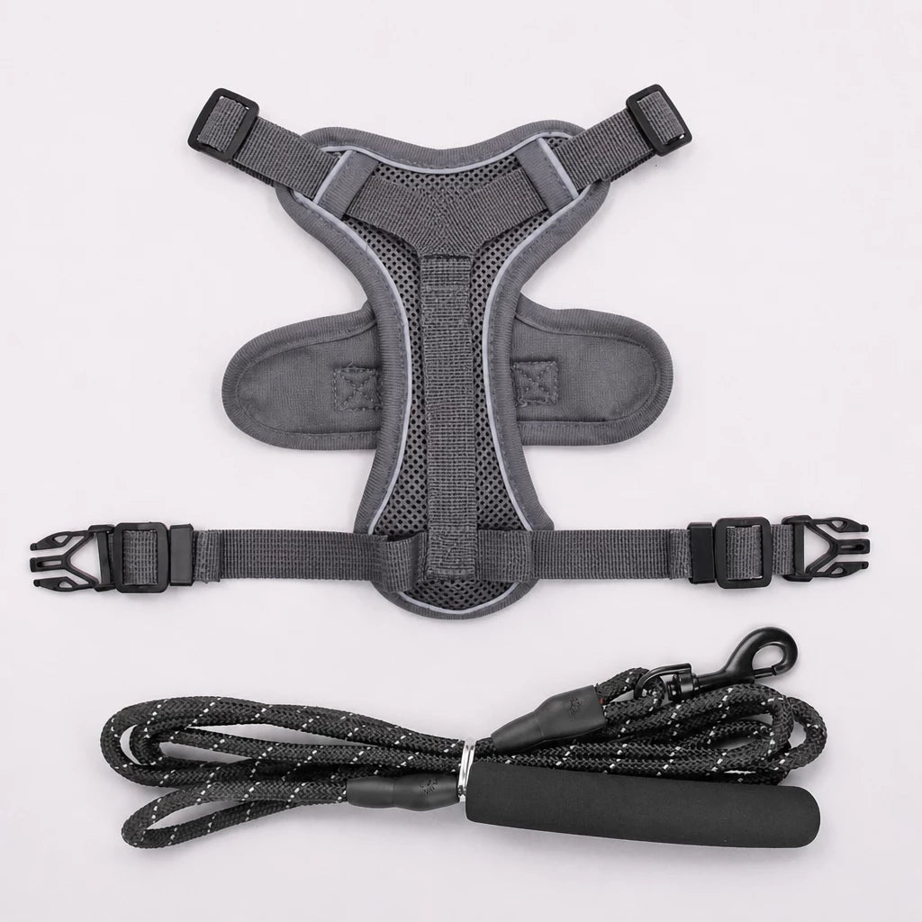 Cat Harness and Leash