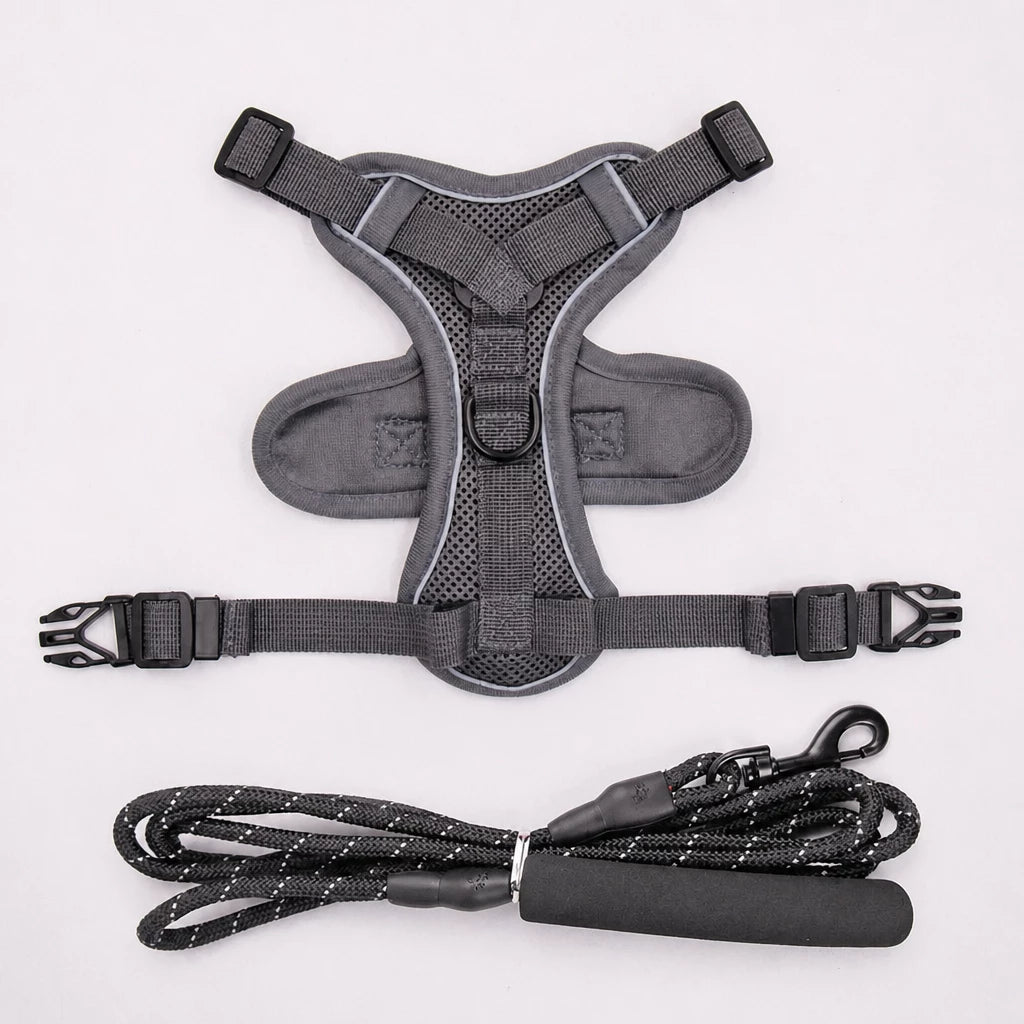 Cat Harness and Leash