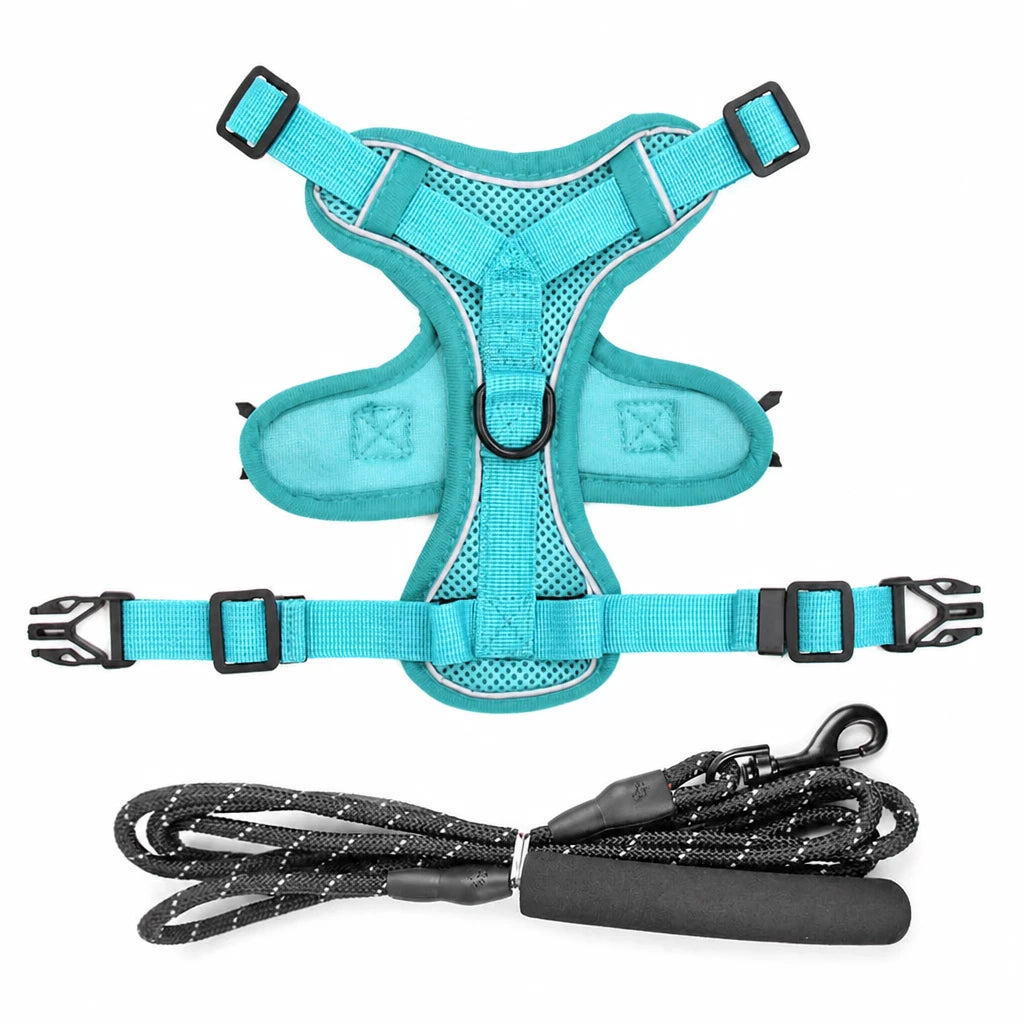 Cat Harness and Leash