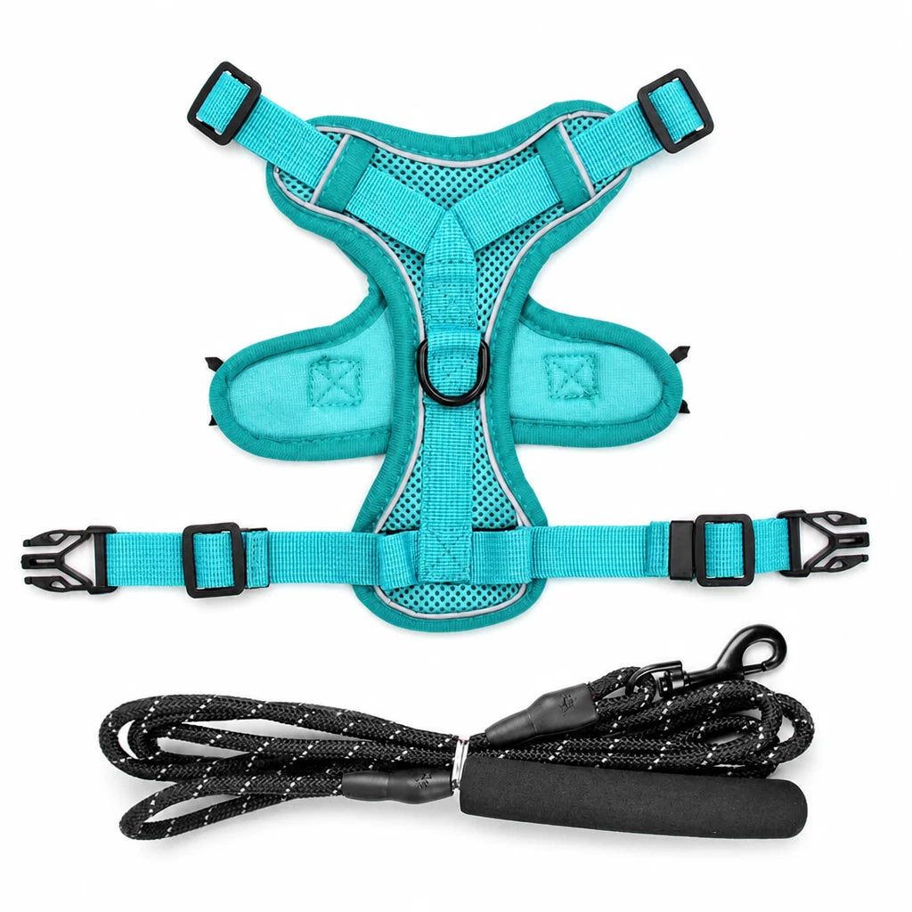 Cat Harness and Leash