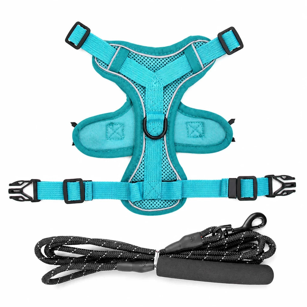 Cat Harness and Leash