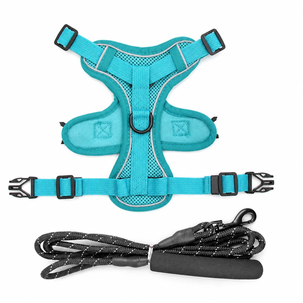 Cat Harness and Leash