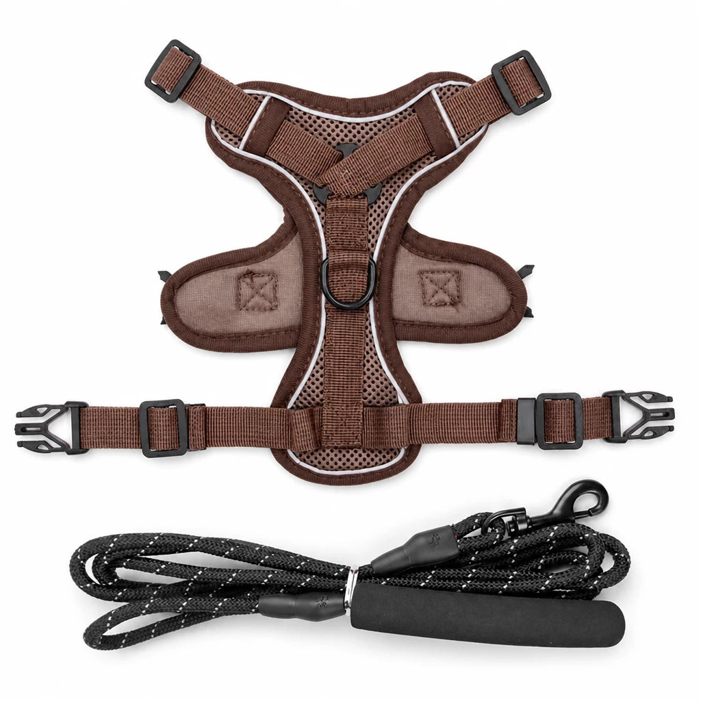 Cat Harness and Leash