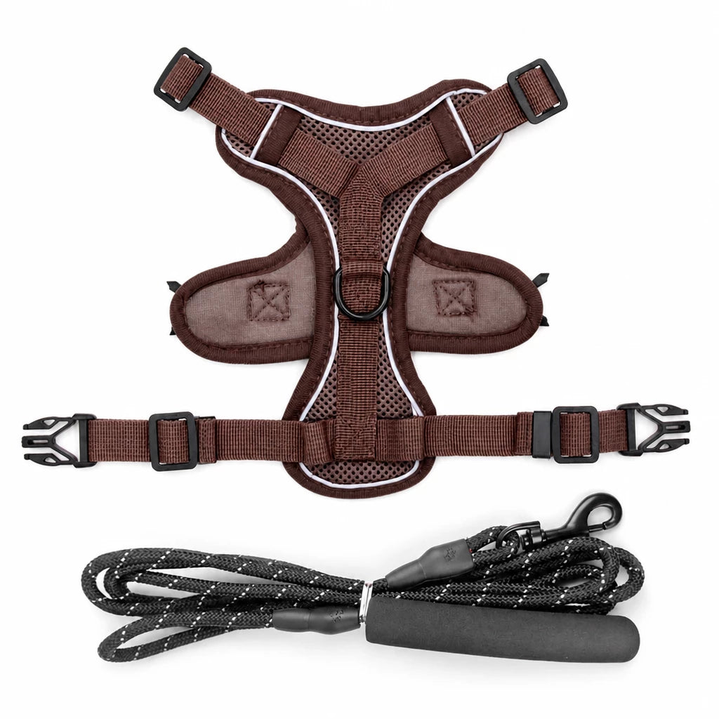 Cat Harness and Leash