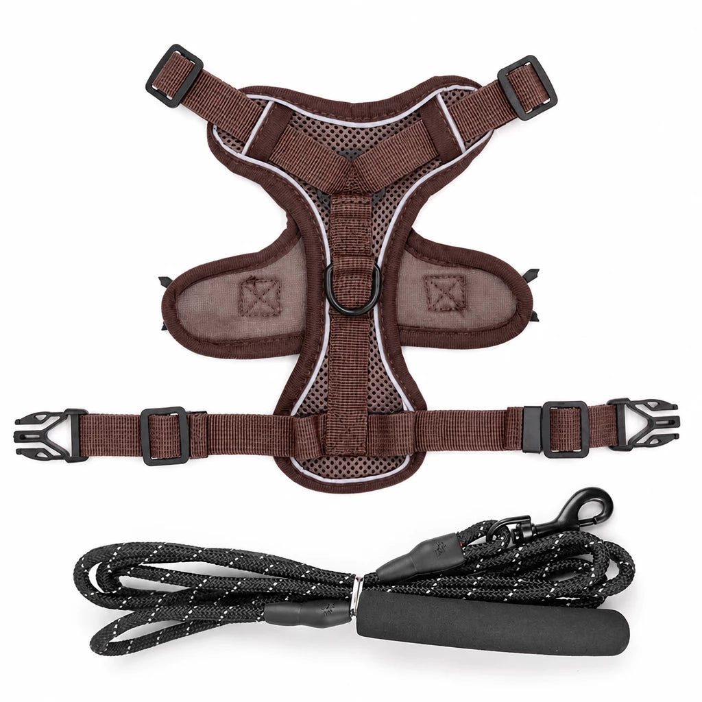 Cat Harness and Leash