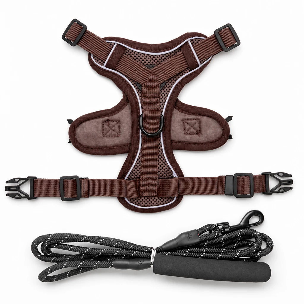 Cat Harness and Leash