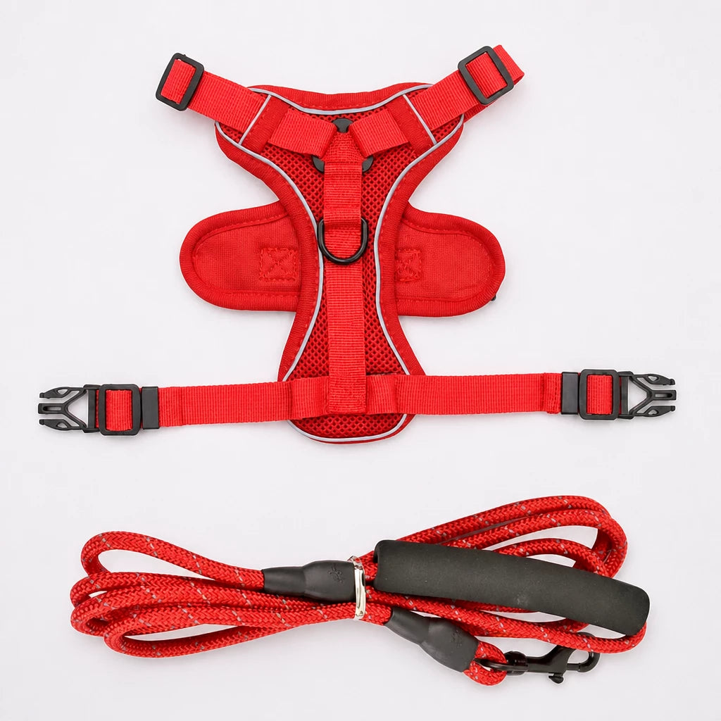 Cat Harness and Leash