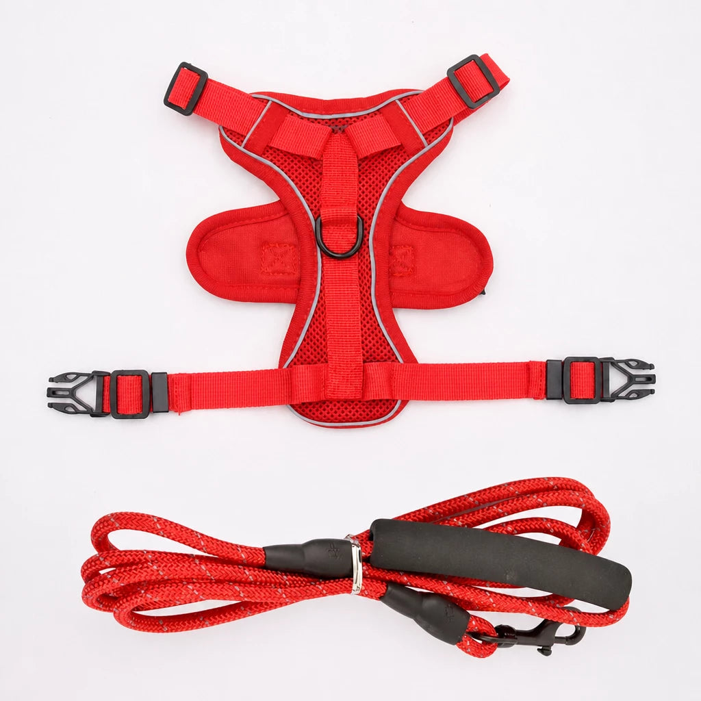 Cat Harness and Leash