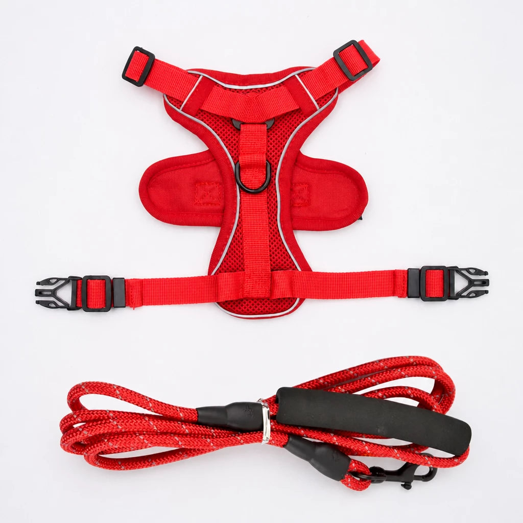 Cat Harness and Leash