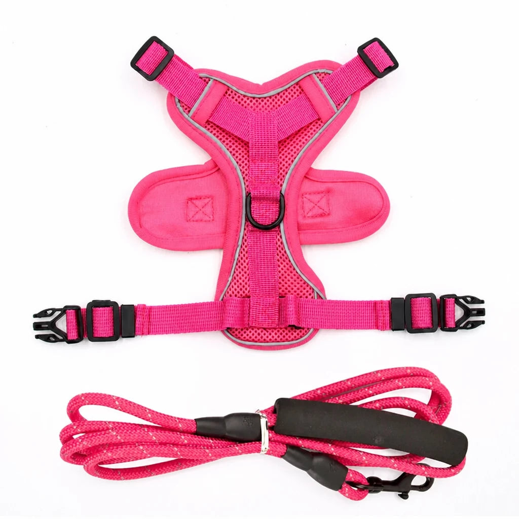 Cat Harness and Leash