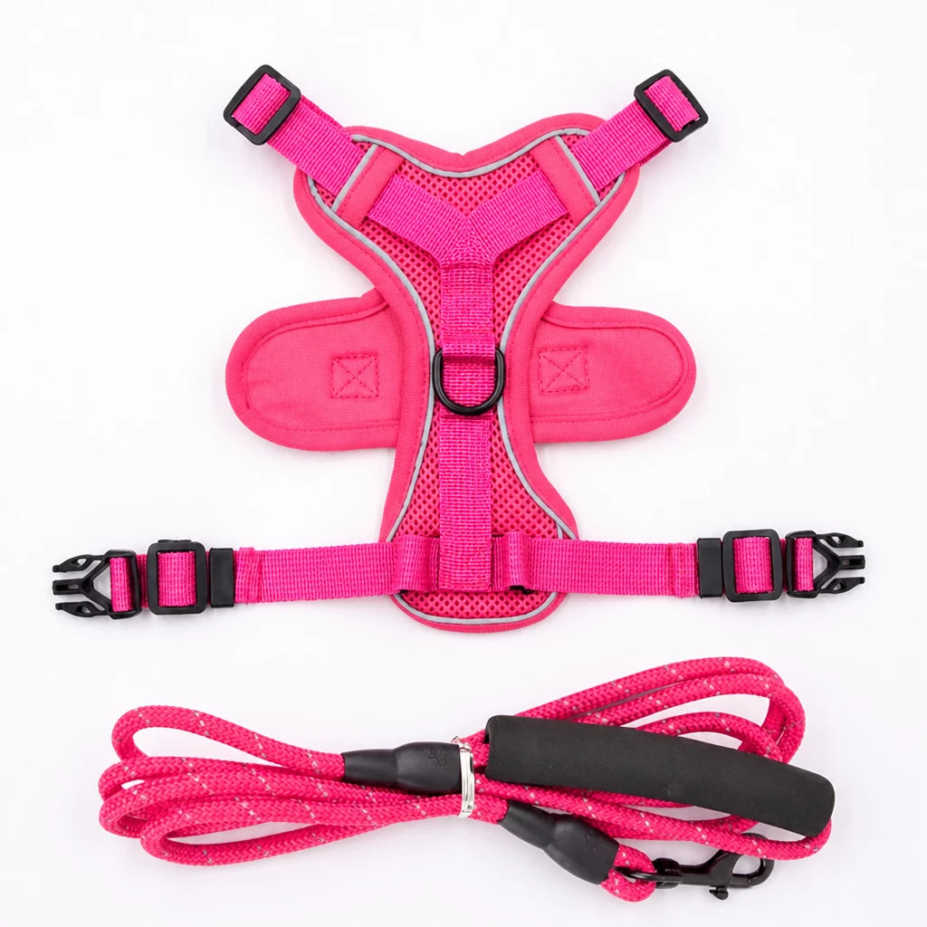 Cat Harness and Leash