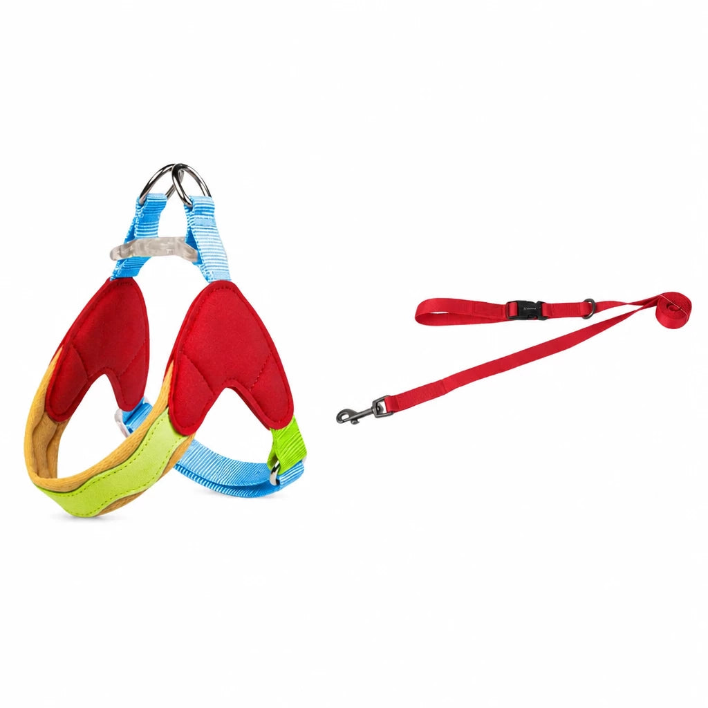 Y-Front Dog Harness with Matching Leash