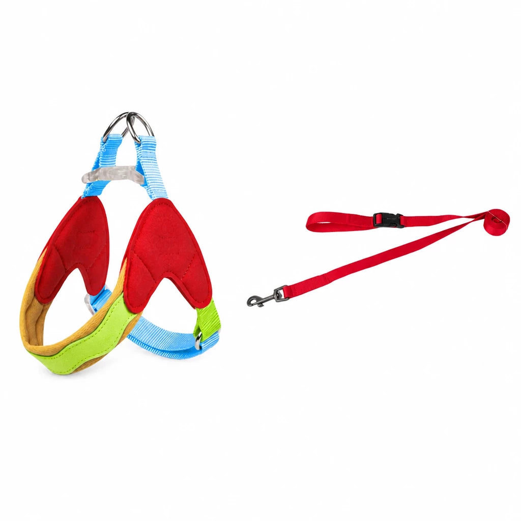 Y-Front Dog Harness with Matching Leash