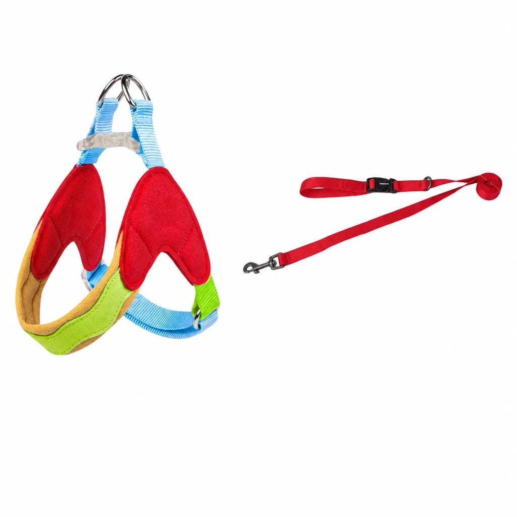 Y-Front Dog Harness with Matching Leash