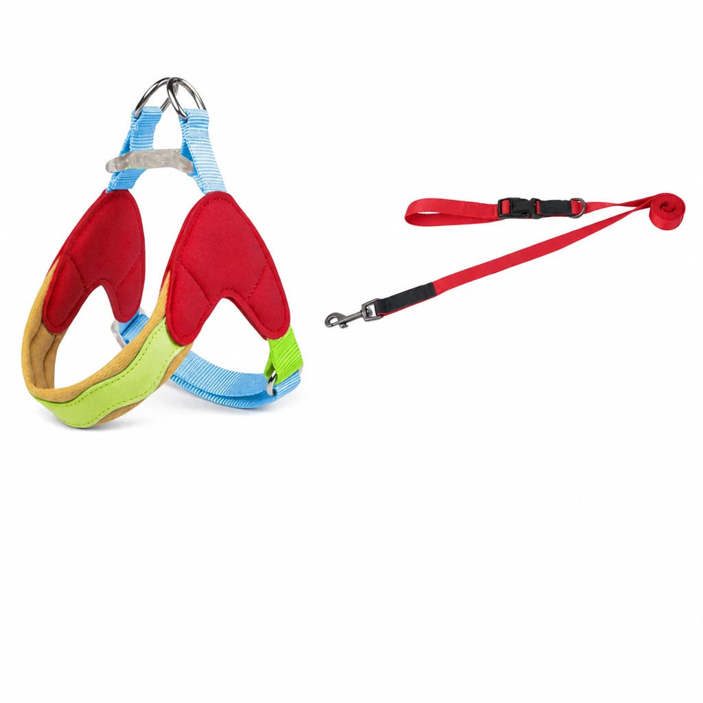 Y-Front Dog Harness with Matching Leash