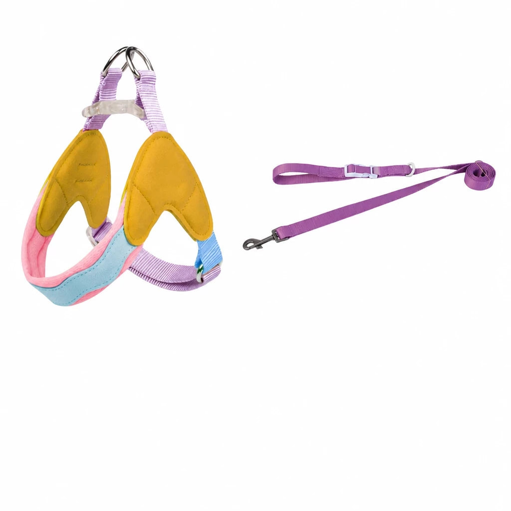 Y-Front Dog Harness with Matching Leash
