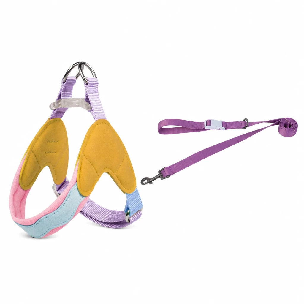 Y-Front Dog Harness with Matching Leash