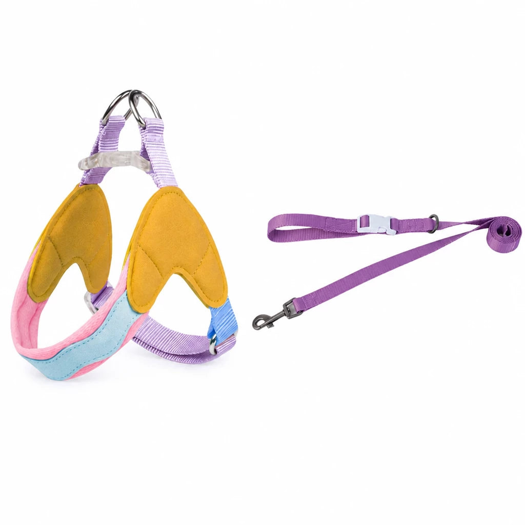 Y-Front Dog Harness with Matching Leash