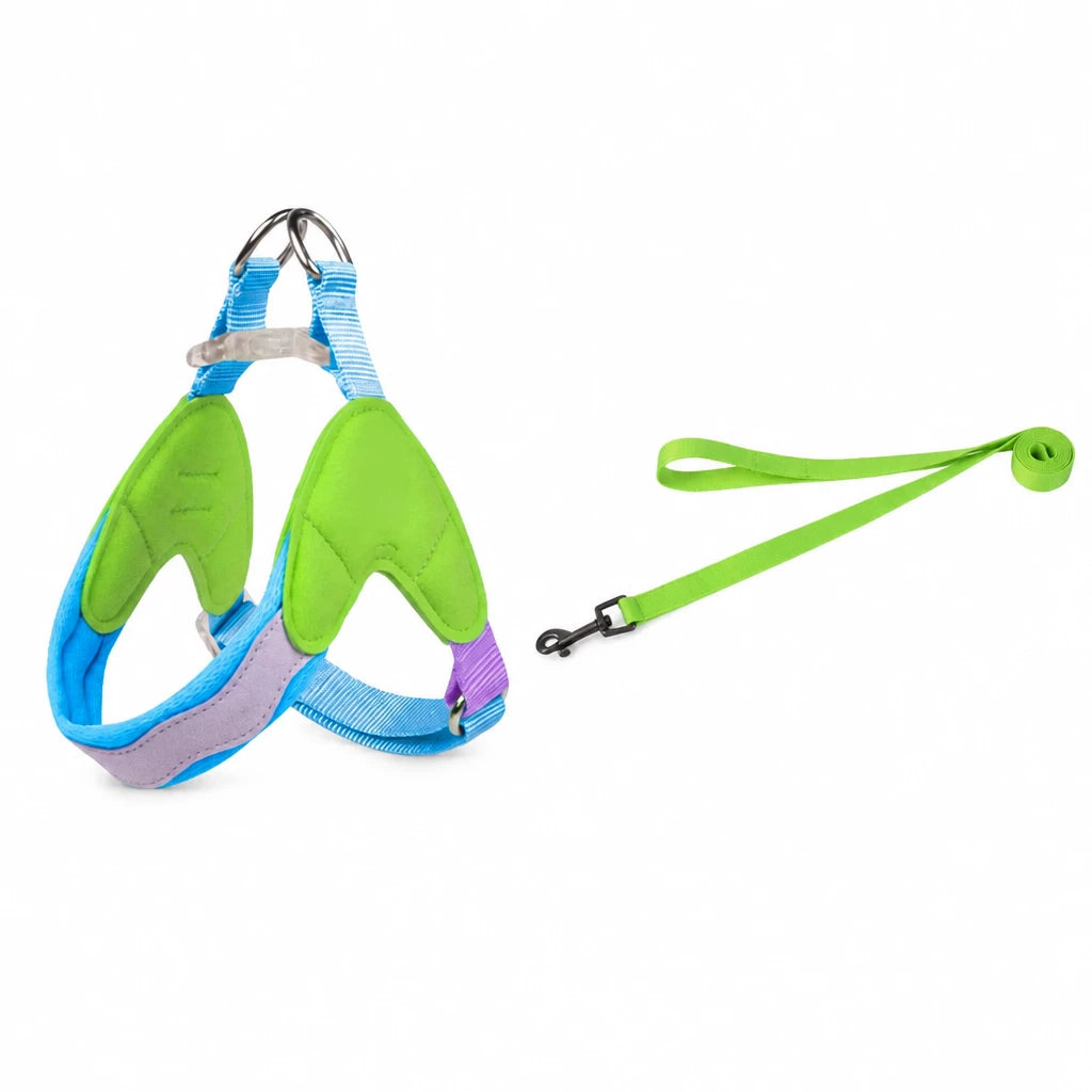 Y-Front Dog Harness with Matching Leash