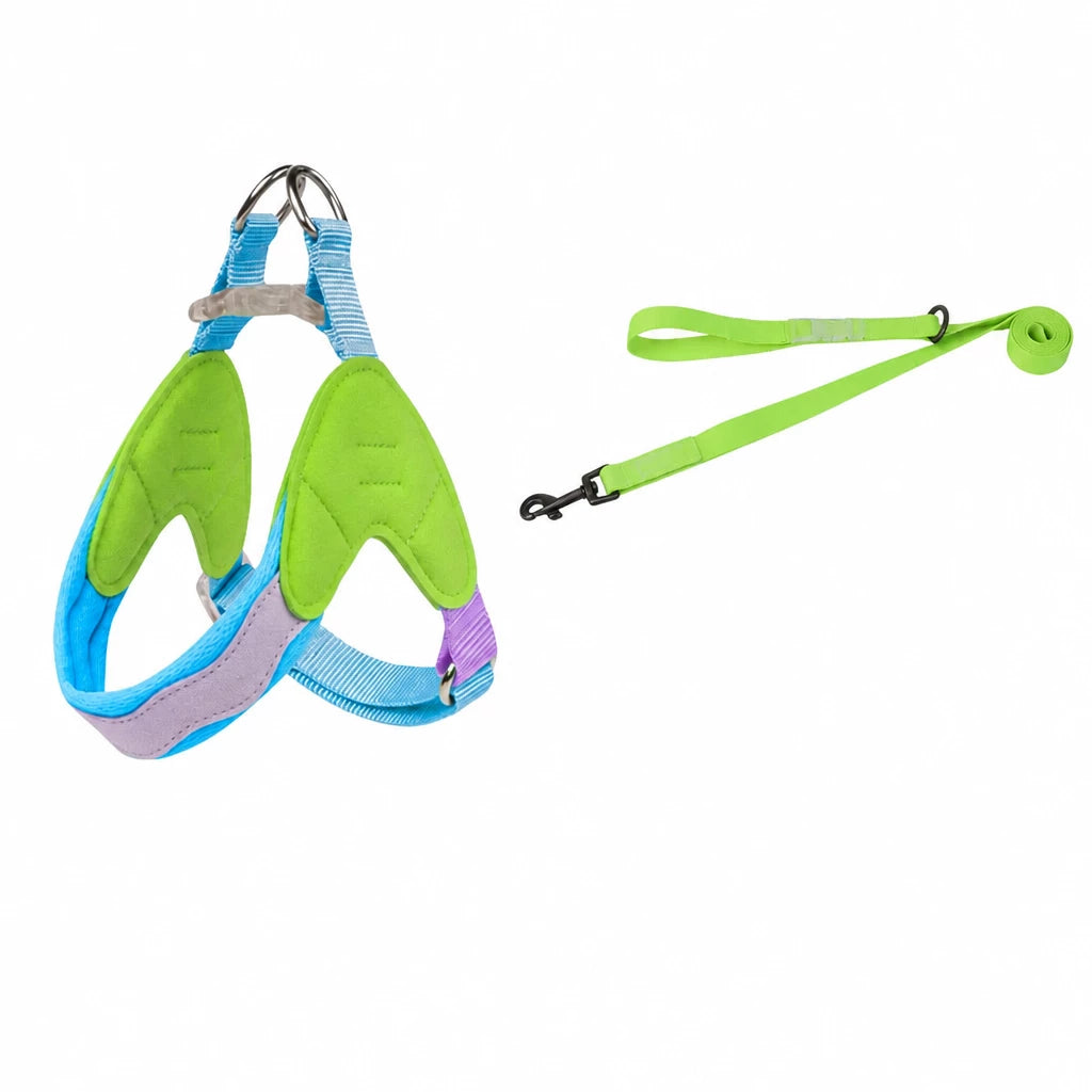 Y-Front Dog Harness with Matching Leash