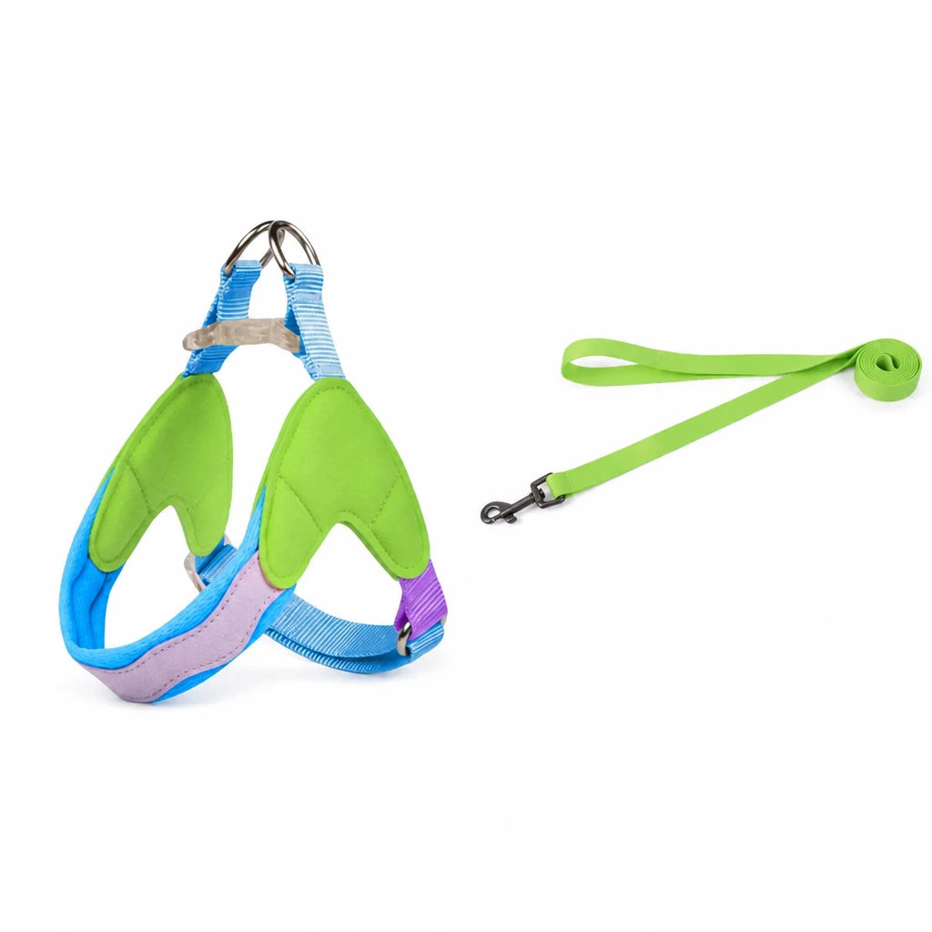 Y-Front Dog Harness with Matching Leash