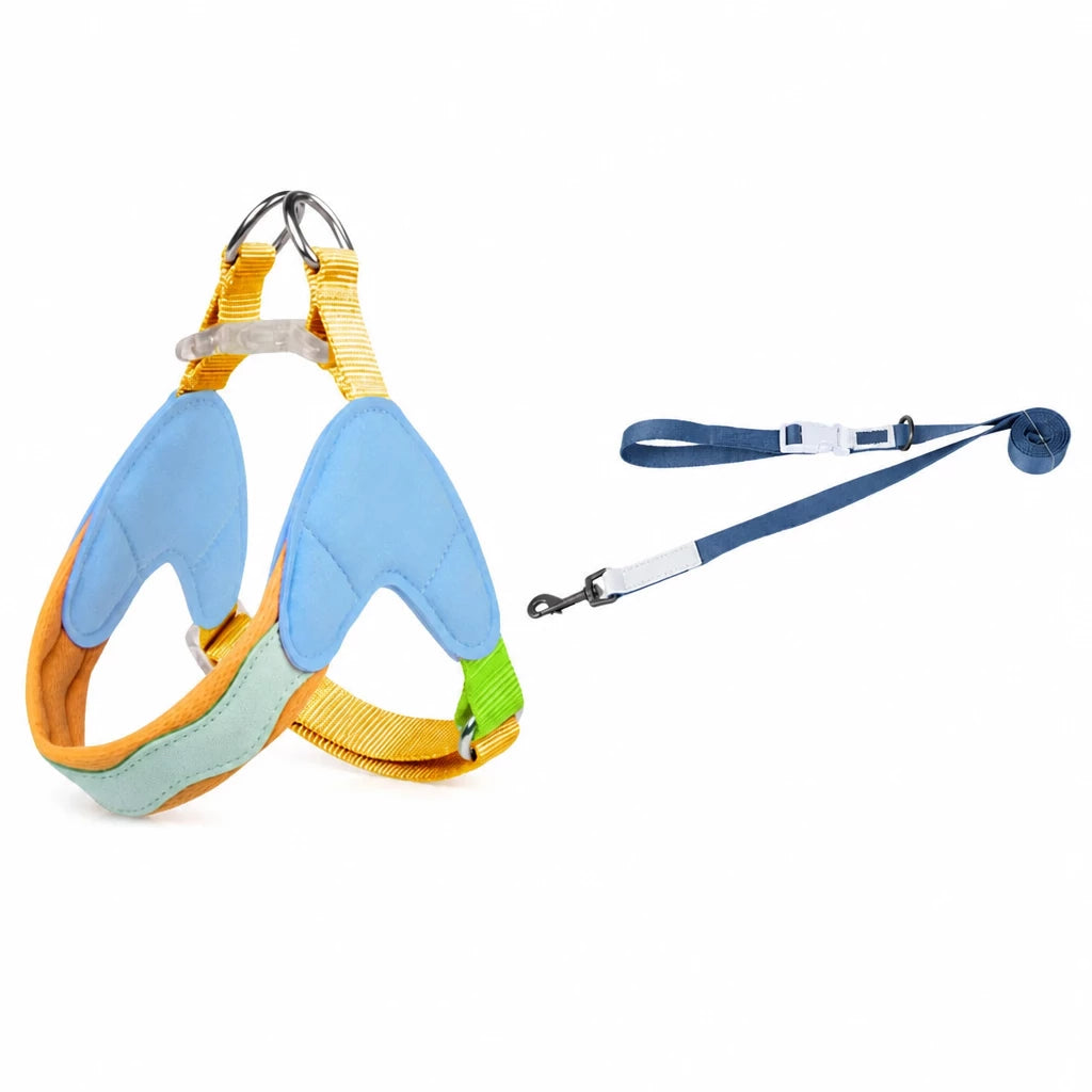 Y-Front Dog Harness with Matching Leash