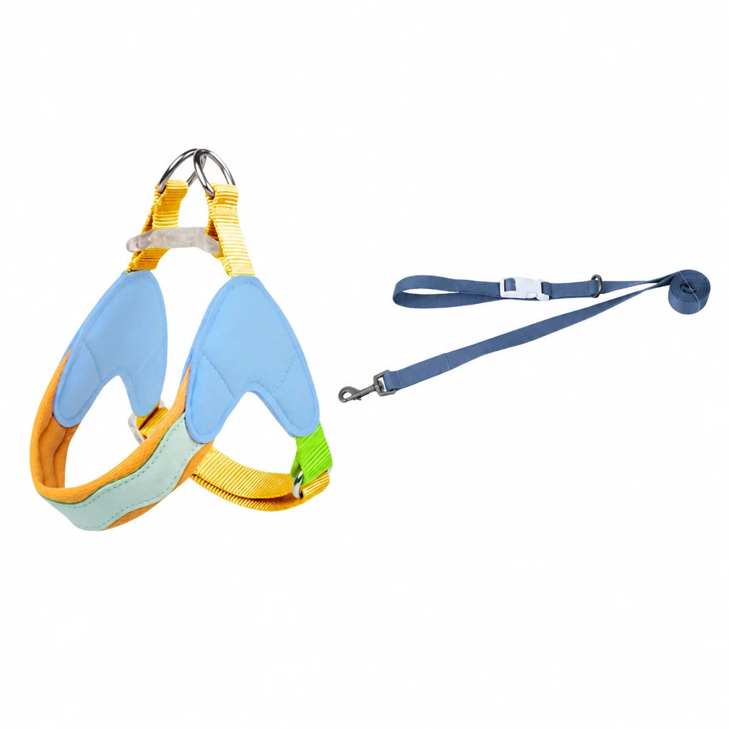Y-Front Dog Harness with Matching Leash