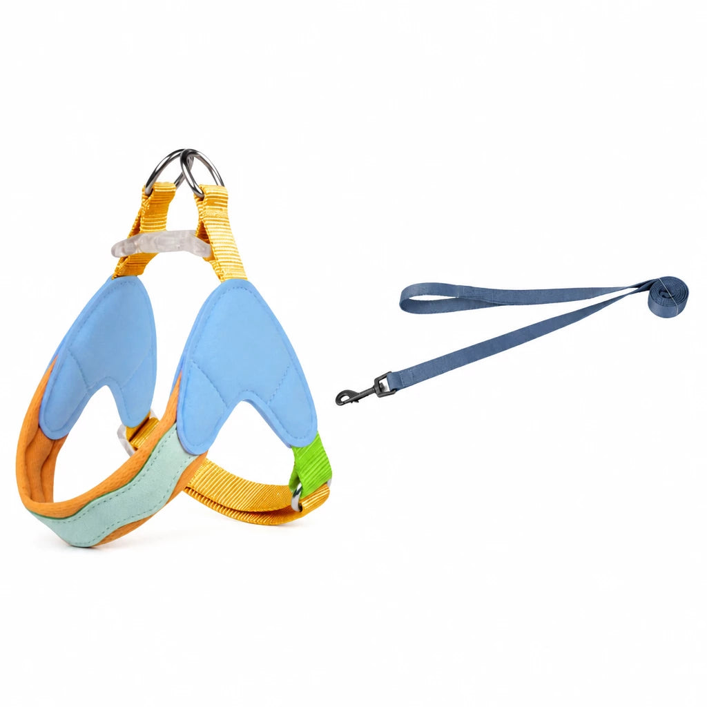 Y-Front Dog Harness with Matching Leash