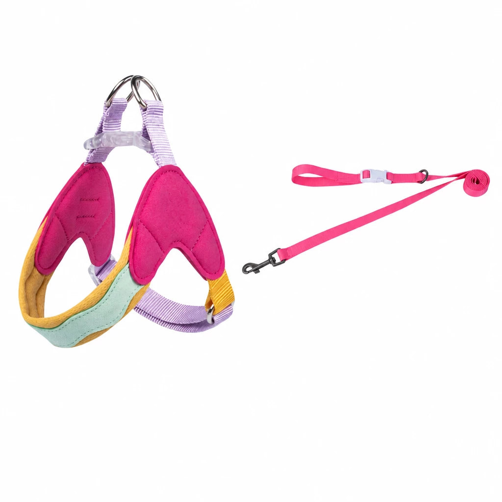 Y-Front Dog Harness with Matching Leash
